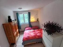 Zimmer im Salzkammergut