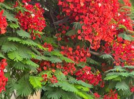 Cairo, hotel i n&aelig;rheden af Kairos internationale lufthavn, Kairo
