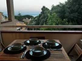 Appartement vue mer