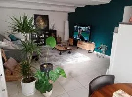 Appartement atypique
