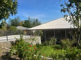 Nika house