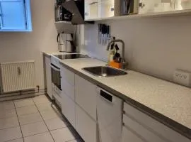 Basement apartment north in the city