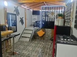 Alto mirador el Quisco