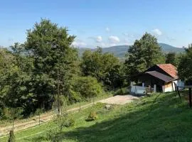 Šumski mir