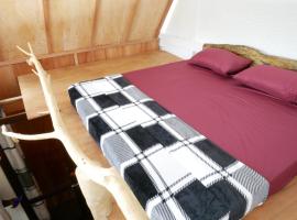 Ella Rustic Art Home, hotel en Badulla