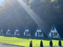 Căsuțele de sub pădure