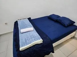 Erigeron homestay dieng