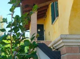 B&B Camera delle Camelie