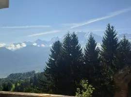 AP-37 La Grande Cordée Combloux