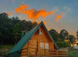 Forest rest