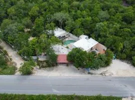 The HOUSE VILLA 8px