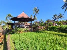 Rice Field inn - Lombok