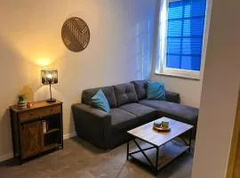 Apartament w centrum miasta przy parku i jeziorze