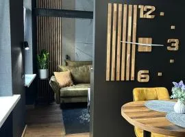 Central Elegance Apartment