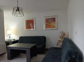 Apartman 1001