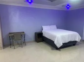 The Cozy Nest