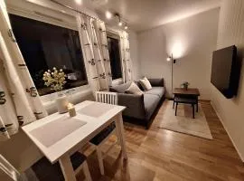 Central and comfortable apartment in Tromsø