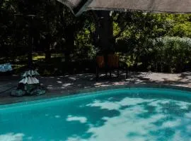 tiny hut house with pool