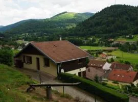 Chalet confortable dans les Vosges - 2 gîtes indépendants - FR-1-589-838