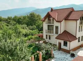 villa aragvi