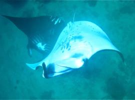 Risen Raja Ampat, self catering accommodation in Pulau Birie