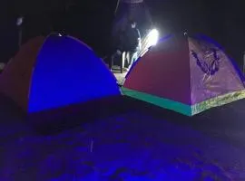 Moonwake Exotica