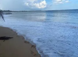 Ocevia - Tangalle