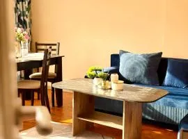 2BR in City Centre