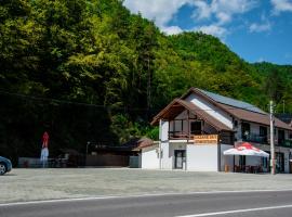 Pensiunea Efremia, hotel 