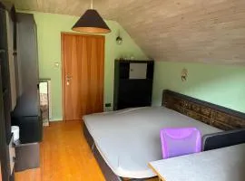 Capybara Guest House