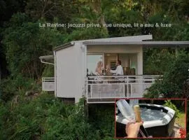 La Ravine, jacuzzi, vue unique, lit à eau & luxe