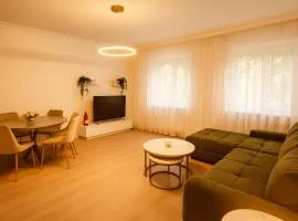 Spacious 2BR Retreat for Families & Friends near City Center