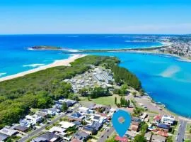 DriftWood - Where the Lake Meets the Sea