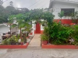 Papaya Guesthouse