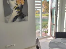 Pilkų atspalvių apartamentai