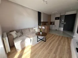 Apartament Vinea