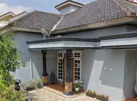 HOMESTAY DEMANGs