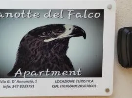 Lanotte del Falco
