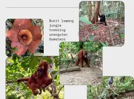 Tiga dara guest house jungle trekking