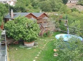 Bujtina Anesi