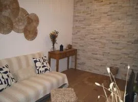Le Petit Capoine 2- T2 Plein Centre de Carcassonne-