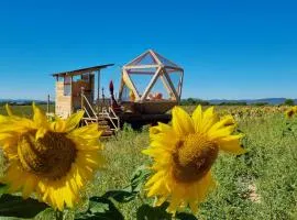 La bulle ico