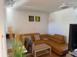 Nice apartment near Frankfurt Main