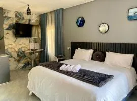 Executive studio apartment near the airport - 2320