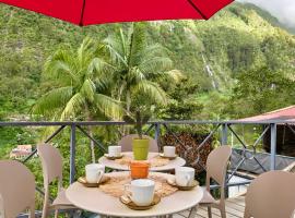 Le Voile de la Mariée, pet-friendly hotel in Salazie