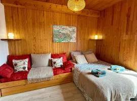 T2 Hyper-centre Villard de lans, style chalet