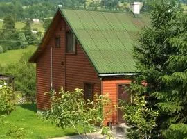 Cottage Ozerniy