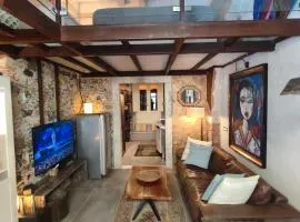 Bilocale stile loft centro storico
