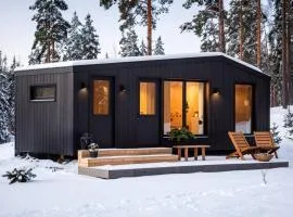 Yllas Cabin for Work, Ski and Relax