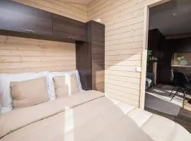 Compact and Cozy Cabin in Yllas for Work and Play